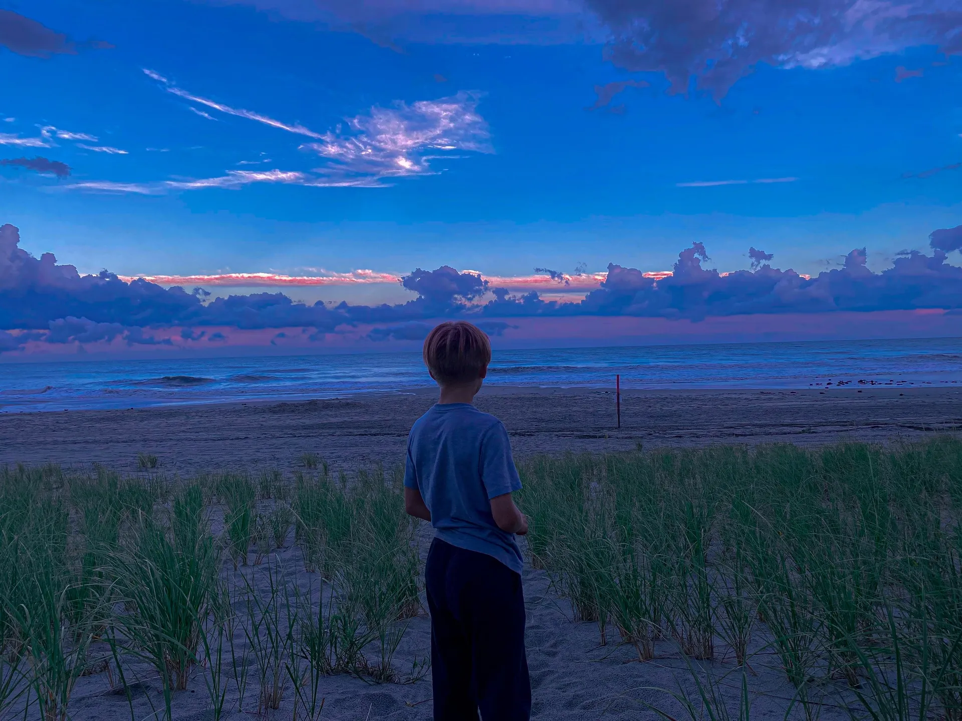 A boy stands in dune grass facing a twilight ocean, pink cloud on the horizon