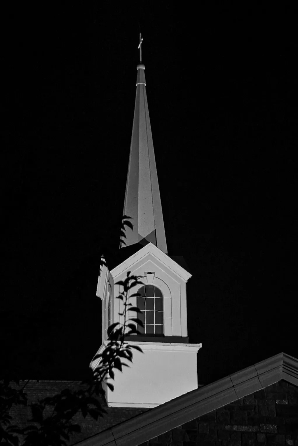 A black and white spotlit church steeple emerging from darkness behind a backlit branch