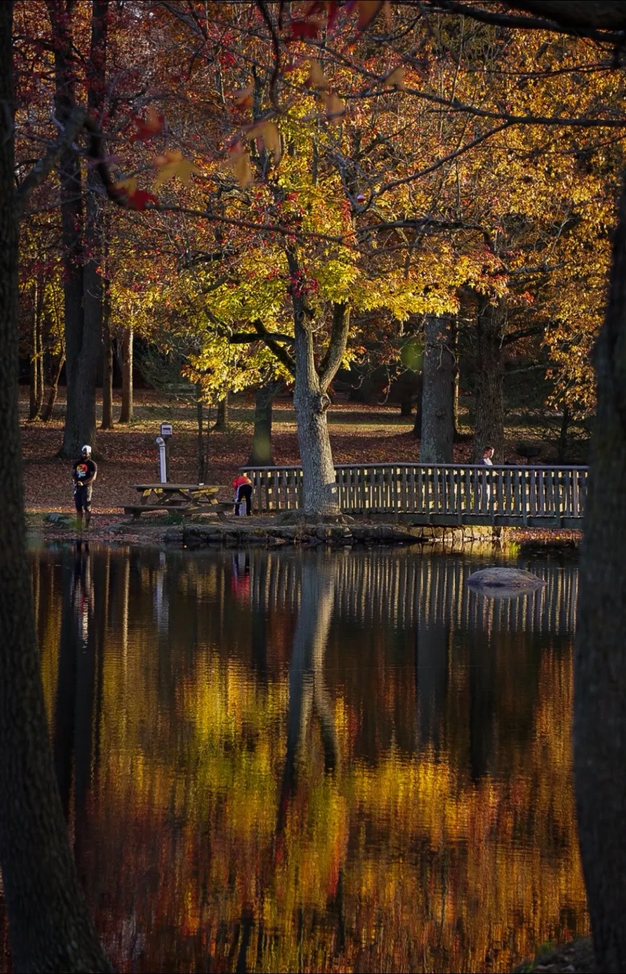 Fall foliage reflected in a still pond beside a wooden footbridge
