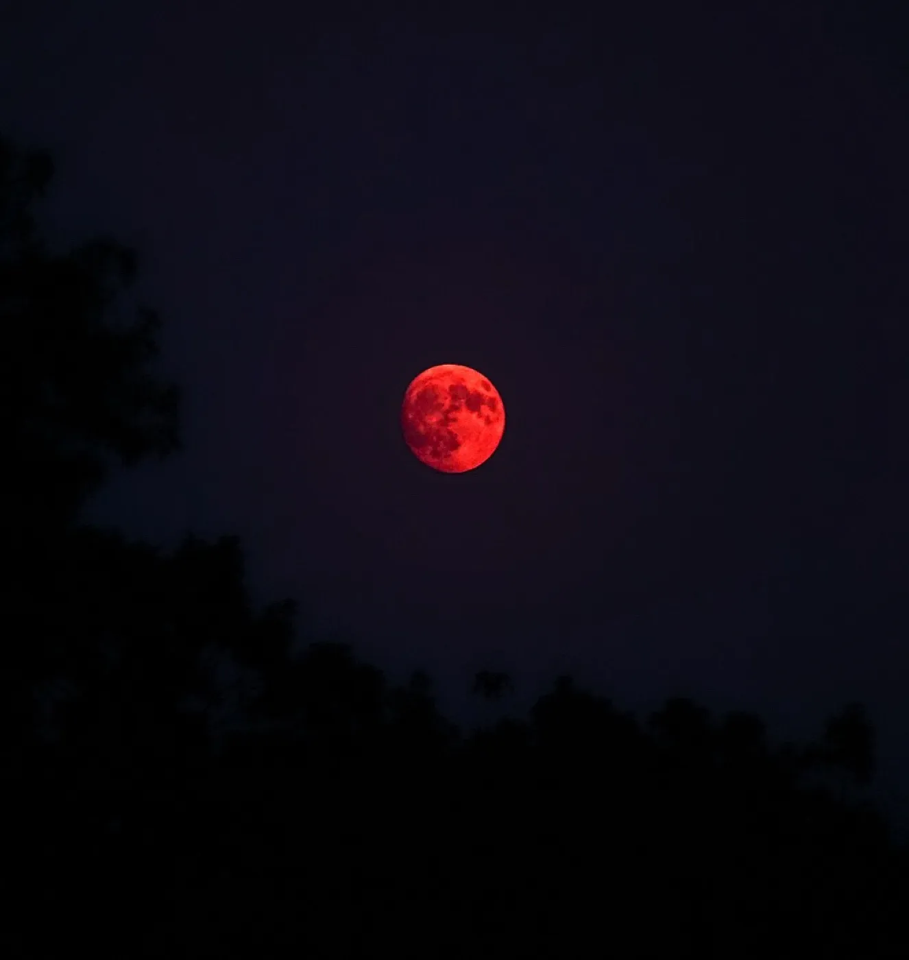 A blood-red full moon glowing over a black tree line at night