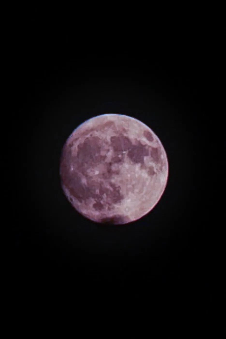 A soft pink full moon suspended in a pitch-black sky