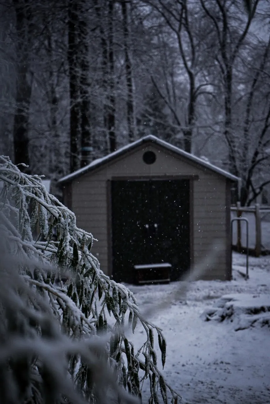 A small shed in snowy woods during a quiet evening snowfall